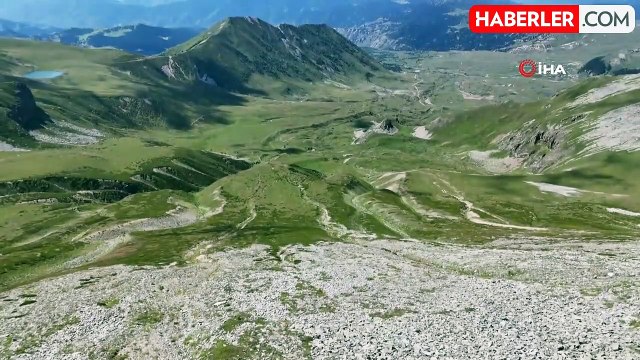 Arsiyan Yaylası'nda Anne ve Yavru Boz Ayı Görüntülendi