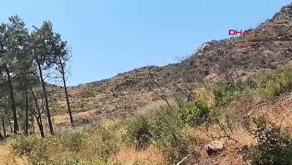 Marmaris'te orman yangınlarında küle dönüşen alanların son hali görüntülendi