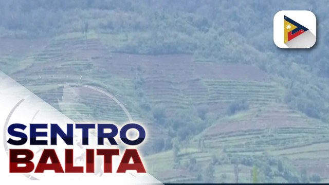 Mga tanim na gulay sa Canlaon city, naapektuhan ng mga bagyo at ash fall mula sa Bulkang Kanlaon; City Agriculture Office, tiniyak ang tulong sa mga apektadong magsasaka