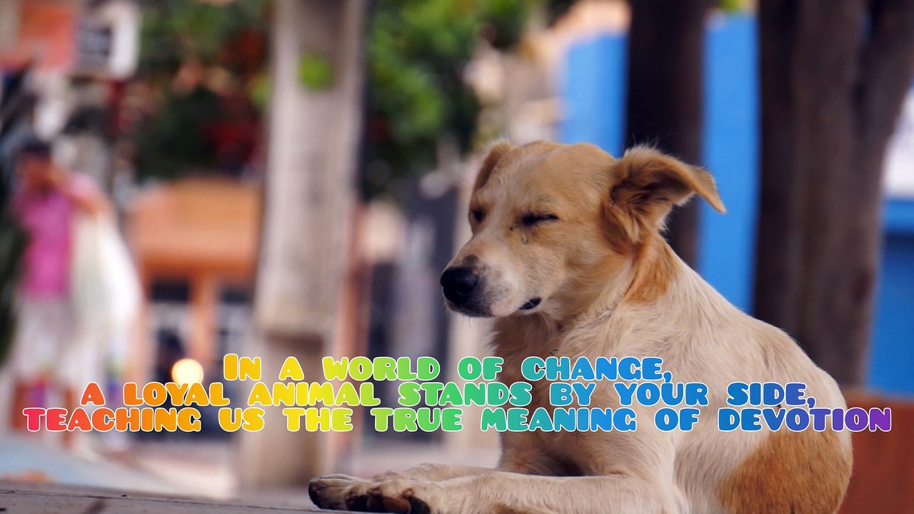 MOTIVITIONAL
