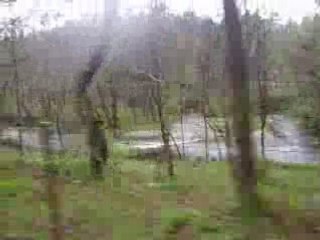 C'est l'hymne de nos rivières IMG_0121