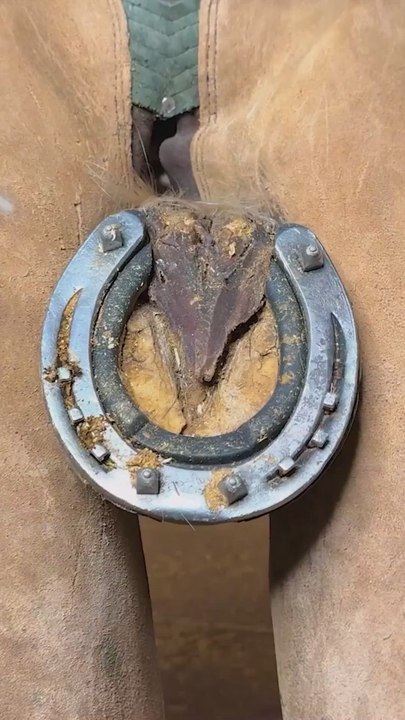 The Ultimate ASMR with This Super Satisfying Horse Hoof Restoration ✨