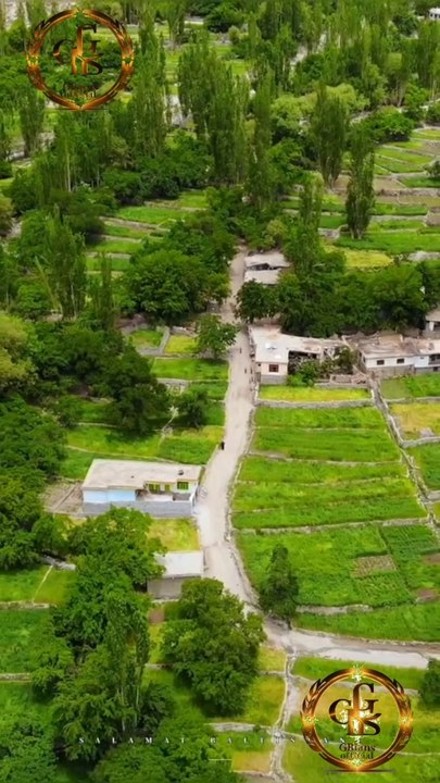 Peaceful Vibes ❤️