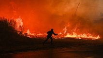 Un experto sobre los incendios en Portugal: 