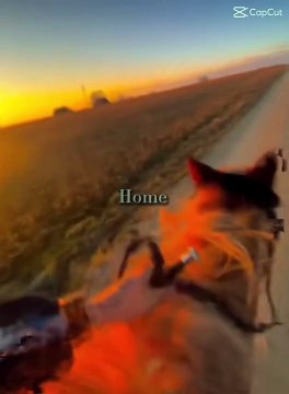 lvtemp_fbc47c90-6826-4bab-b922-4b0a8b8a50c67