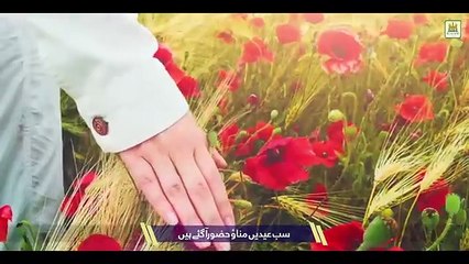 New Rabiulawal Title Naat 2024 Falaq ke Nazaro Laiba Fatima Lyrical video