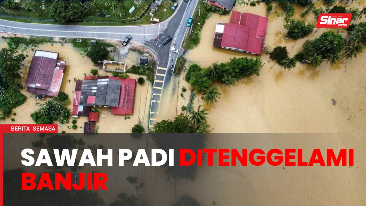 93 pesawah rugi besar, bendang jadi 'lautan'