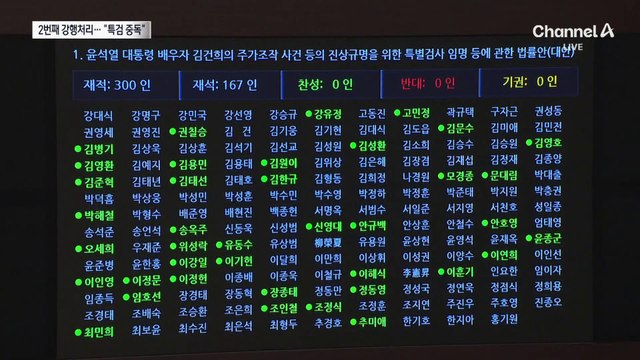 ‘김 여사 특검법’ 두 번째 강행 처리…여 “지독한 특검 중독”