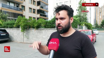 İstanbul'da kangal dehşeti: Sahipli köpeği parçaladı