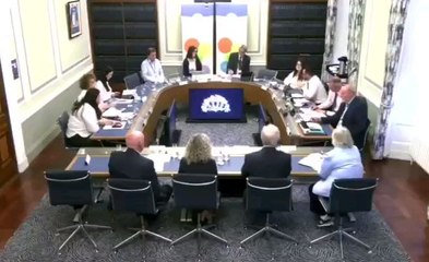 'Gratuitously offensive' - Alliance committee chair's view on MLA mentioning men who claim to be women