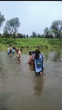 VIDEO: जान जोखिम में डाल स्कूल जाने को मजबूर छात्र-छात्राएँ