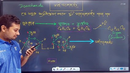Biology Chapter 3-3 Overview
