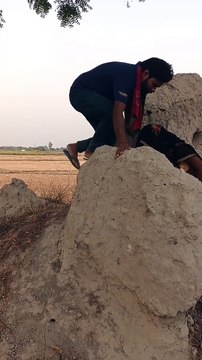 #tiktok #insta #meme #viral #explorepage #india #likes #bhfyp #dance #tiktok #lfl #trending #video #dankmemes #youtube #funnymemes #memesdaily #humor #comedy #fyp #bollywood