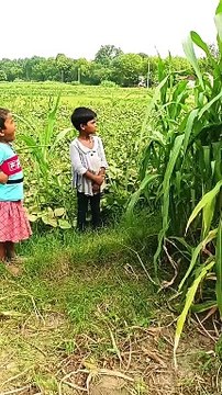 #tiktok #insta #meme #viral #explorepage #india #likes #bhfyp #dance #tiktok #lfl #trending #video #dankmemes #youtube #funnymemes #memesdaily #humor #comedy #fyp #bollywood