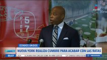 Nueva York realiza cumbre para acabar con las ratas