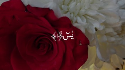 Download Video: Surah YASIN (Yaseen) | سورۃ یس  | Surat Yaseen Full With Arabic Text (HD) | 36