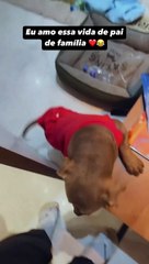 MC Daniel compartilha momento fofo com namorada grávida: "Amo essa vida de pai"