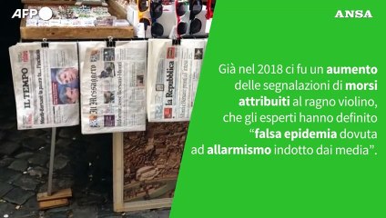 Ansa VERIFIED - Il ragno violino puo' uccidere con il suo morso?