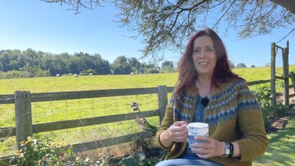Musical memories of Sycamore Gap tree
