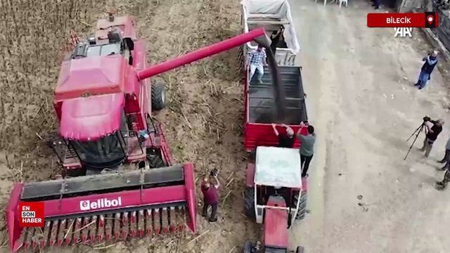 Bilecik'te yağlık ayçiçeği ekim alanı 3 yılda 30 bin dekar arttı