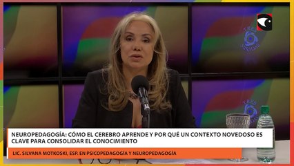 Neuropedagogía: cómo el cerebro aprende y por qué un contexto novedoso es clave para consolidar el conocimiento