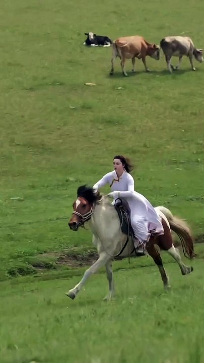 Miya horse rider | horse riding #horse #horseriding