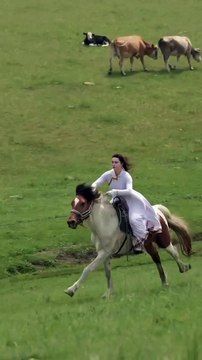Miya horse rider | horse riding #horse #horseriding