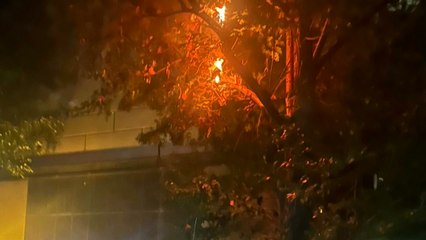 북한 쓰레기 풍선, 아파트 단지에 떨어져...나무에 불 / YTN