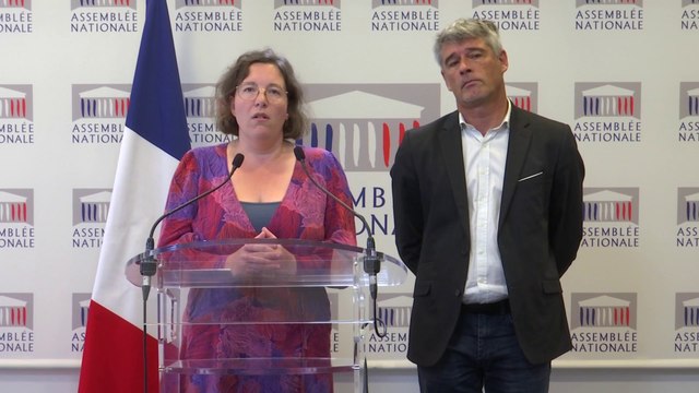 Destitution du chef de l’Etat : les écologistes hésitent à voter la proposition de résolution