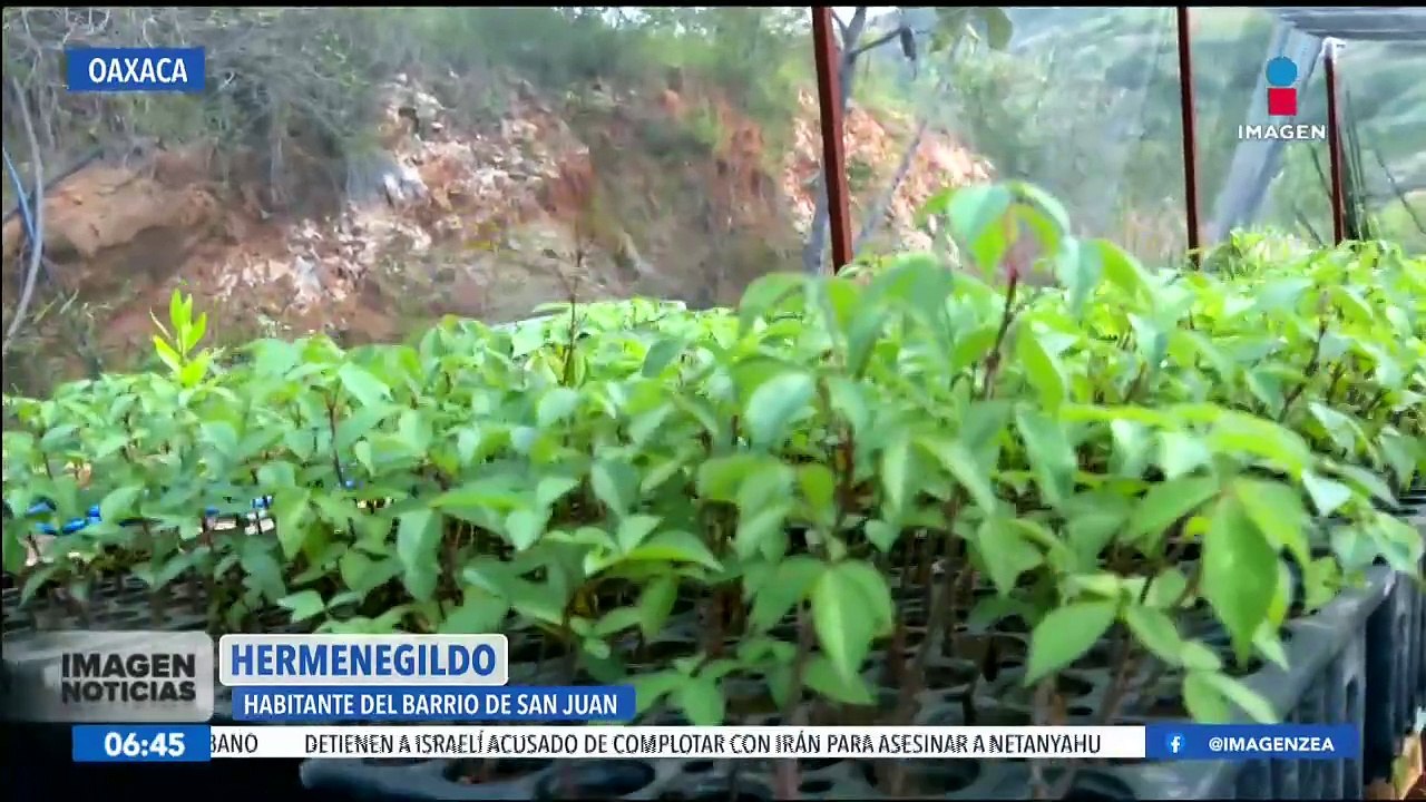 La Sierra de Oaxaca es sede de una reserva de agaves destinados a la producción de mezcal