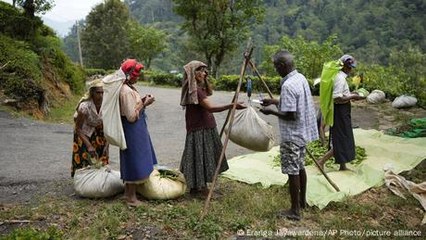 Sri Lanka goes to the polls as economy sees upswing