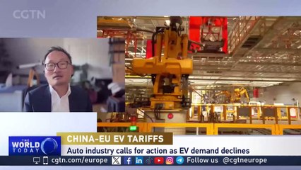 EU China tariffs: "We in Europe are split even on this"