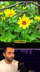 Un ALPINISTE FELICITE INOX !! ⛰️ #kreaai #flux #imageia #freeai #iagratuite