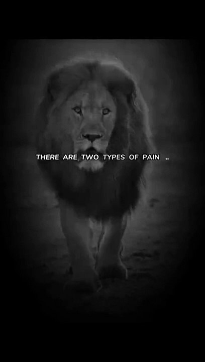 Types of pain #motivation #viral #trending #foryou #dailymotion #foryou