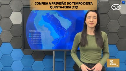 Previsão do tempo desta quinta-feira (19)!