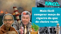 AMAZÔNIA EM CHAMAS E O ESPETINHO DE PALMITO DO FEIRANTE VIRA IGUARIA? ALBA E MORGADO DÃO O PAPO