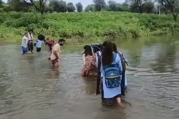 स्कूल जाने के लिए जान का जोखिम.... देखें वीडियो