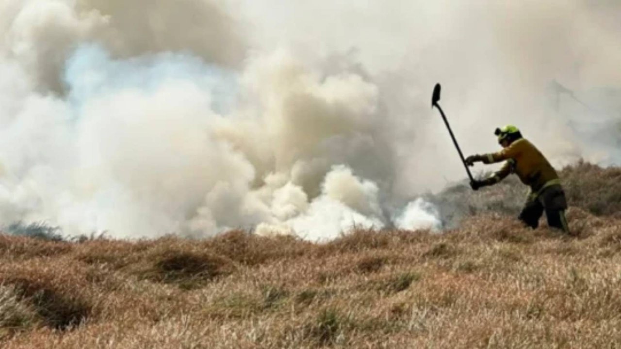 Incendio que habría sido provocado por indígenas destruyó más de 250 hectáreas de una reserva