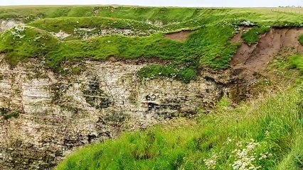 North Landing cliffs near Bridlington