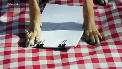 Caramelo Teaser Oficial