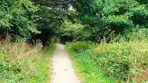 South Landing nature reserve near Flamborough