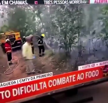 Durante la grave oleada de incendios forestales en Portugal, las cámaras de televisión captaron a un señor lanzando un cigarrillo al bosque después de fumarselo