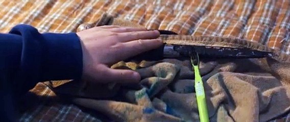 Juega o muere - Tráiler