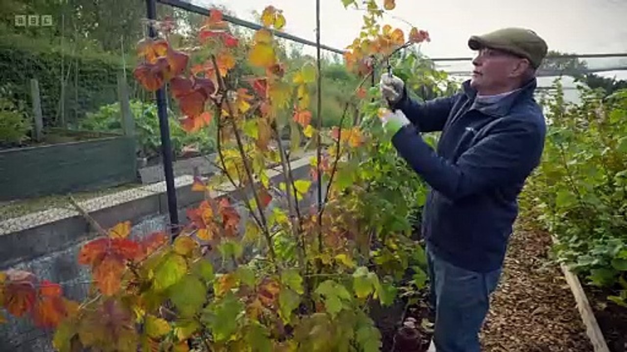 The Beechgrove Garden 2024 episode 25