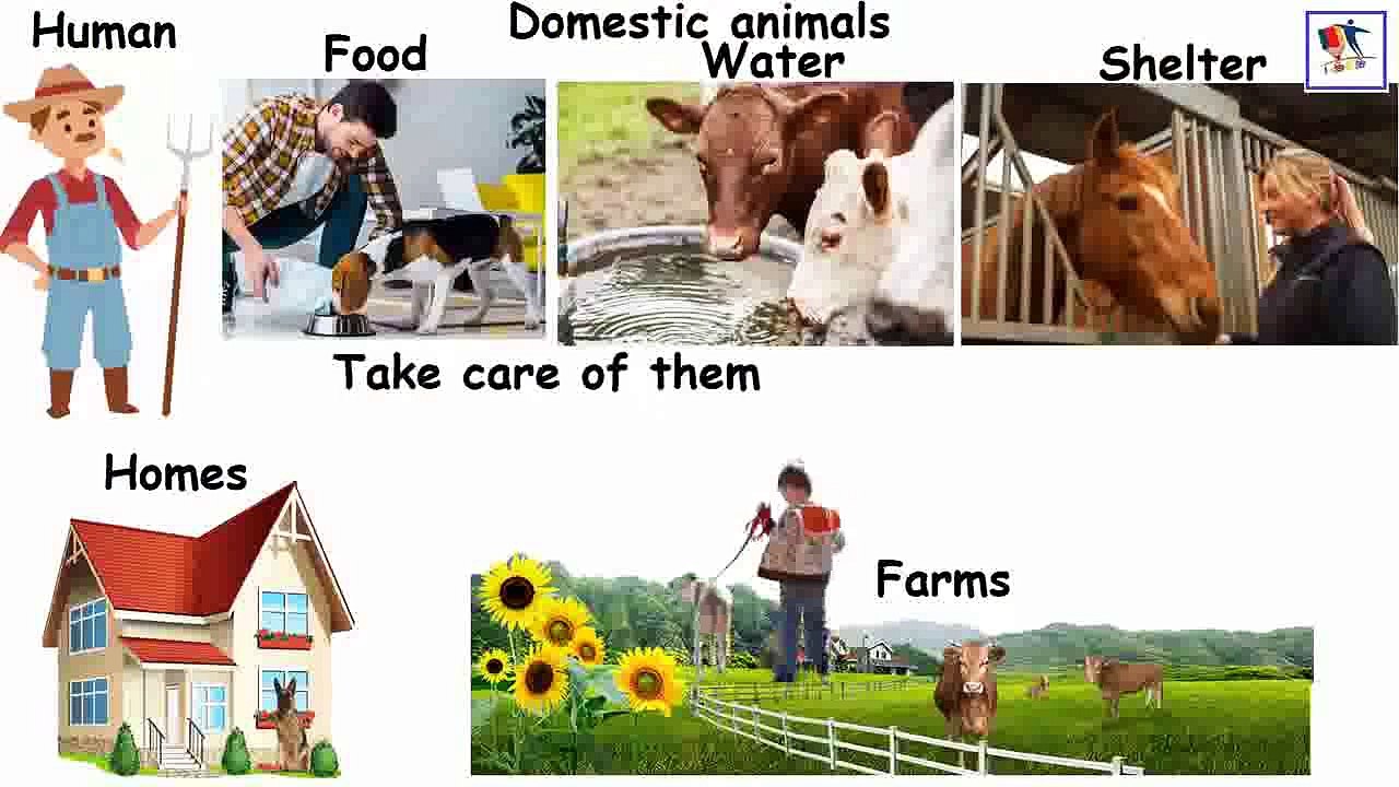 Animals Around Us
