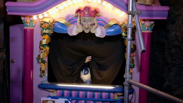 '¡Casa Bonita Mi Amor!' - Tráiler Oficial