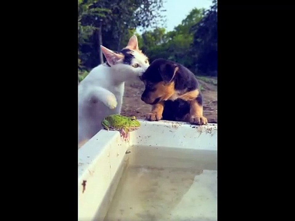 video3