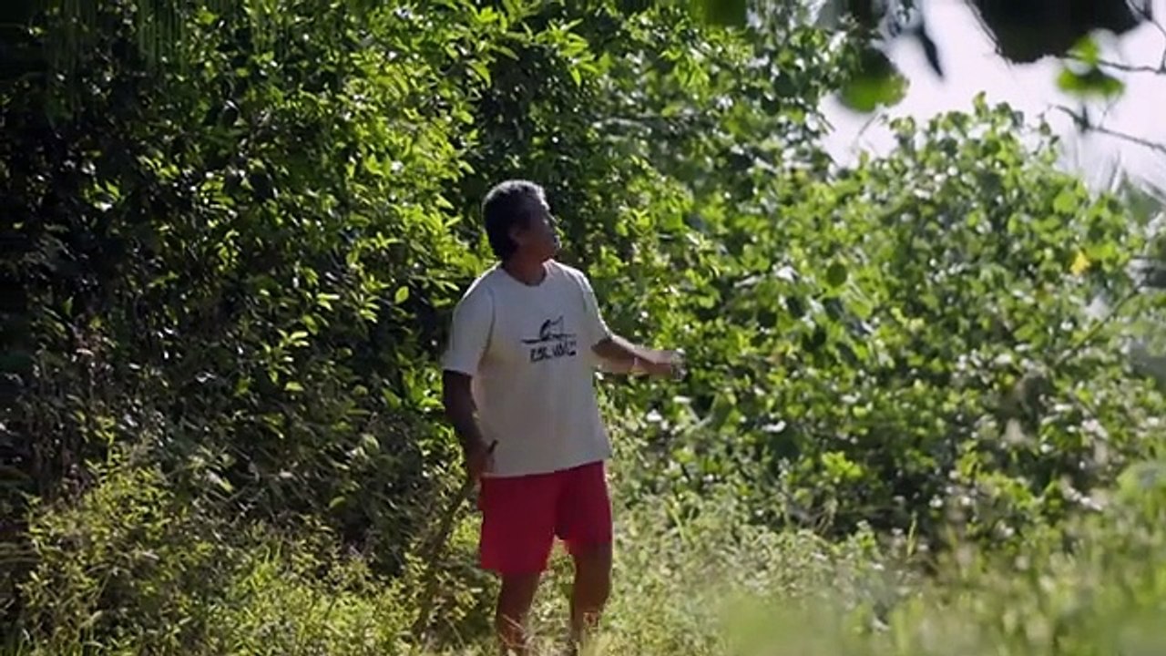 Polynésie _ voyage dans l'archipel des Australes