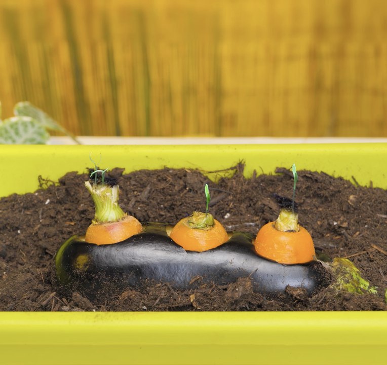 Des ASTUCES de plantation efficaces pour un jardin prospère !