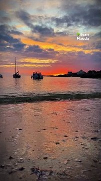 Un instant magique à Batz-sur-Mer ✨ Quand le son du piano résonne entre les vagues et les ruelles charmantes de cette petite ville bretonne ️. Située sur la côte sauvage, Batz-sur-Mer offre des paysages à couper le souffle entre falaises, plages et ma
